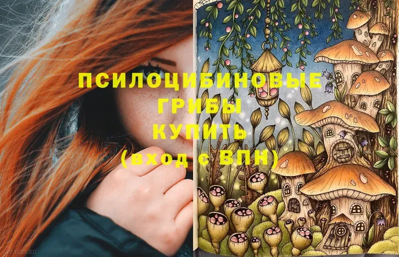 Псилоцибиновые грибы Psilocybe  Вуктыл 